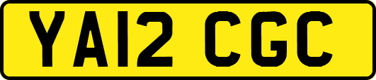 YA12CGC