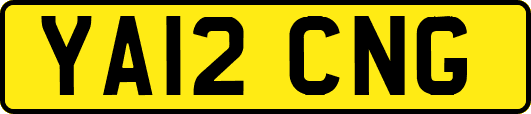 YA12CNG