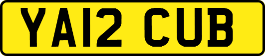 YA12CUB