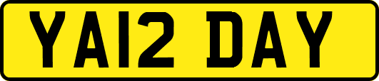 YA12DAY