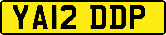 YA12DDP