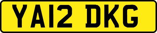 YA12DKG