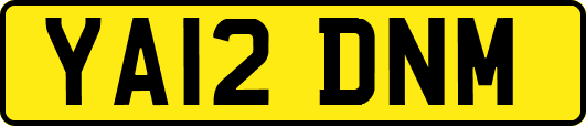 YA12DNM