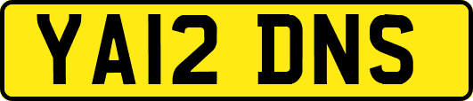 YA12DNS