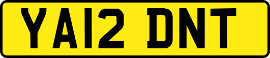 YA12DNT
