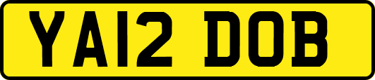 YA12DOB