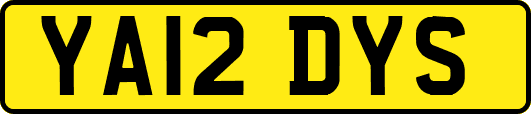 YA12DYS