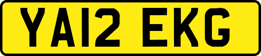 YA12EKG