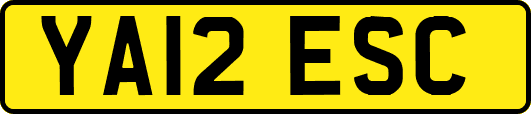 YA12ESC