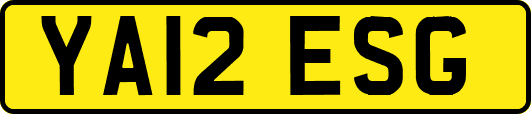 YA12ESG