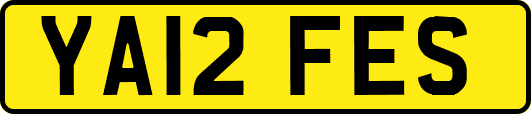 YA12FES