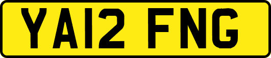 YA12FNG