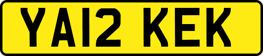 YA12KEK