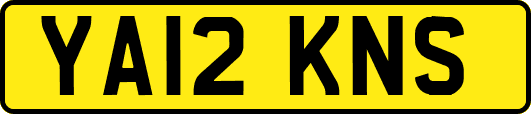YA12KNS