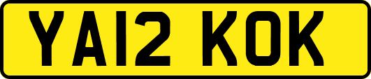YA12KOK