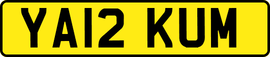 YA12KUM