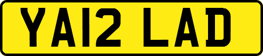 YA12LAD
