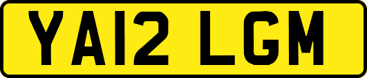YA12LGM