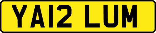 YA12LUM