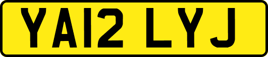 YA12LYJ