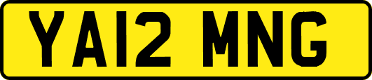 YA12MNG