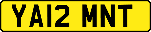 YA12MNT