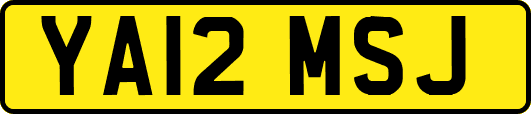 YA12MSJ