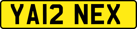 YA12NEX