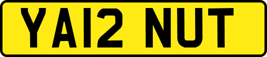YA12NUT