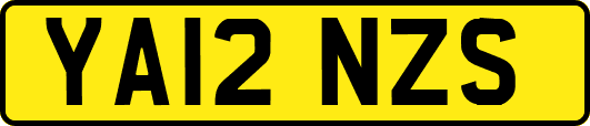 YA12NZS