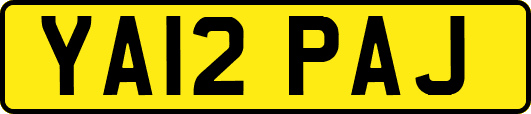 YA12PAJ