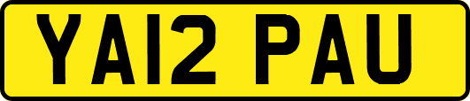 YA12PAU