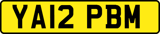 YA12PBM