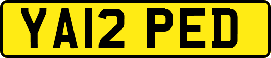 YA12PED