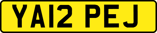 YA12PEJ