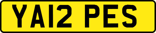 YA12PES