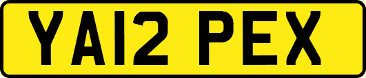 YA12PEX