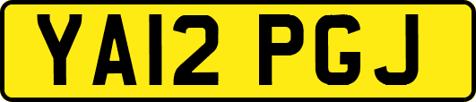 YA12PGJ