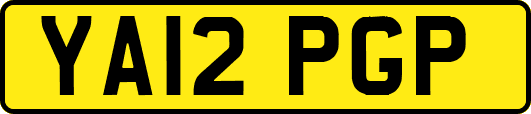 YA12PGP