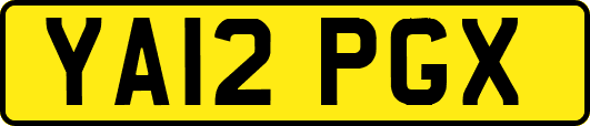 YA12PGX