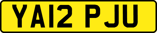 YA12PJU