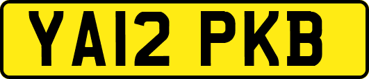 YA12PKB