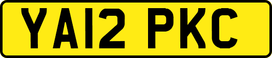 YA12PKC