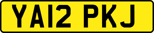 YA12PKJ