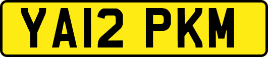 YA12PKM