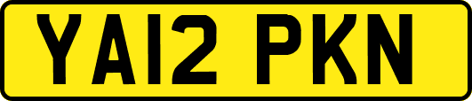 YA12PKN