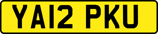 YA12PKU