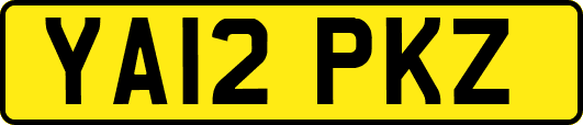 YA12PKZ