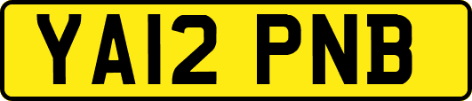 YA12PNB