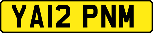 YA12PNM